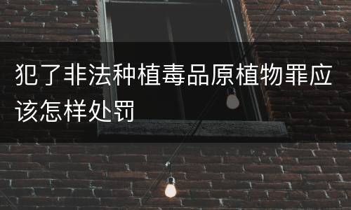 犯了非法种植毒品原植物罪应该怎样处罚