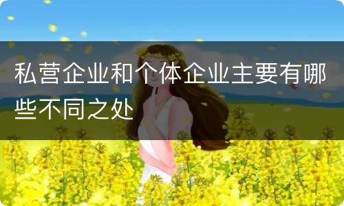 私营企业和个体企业主要有哪些不同之处