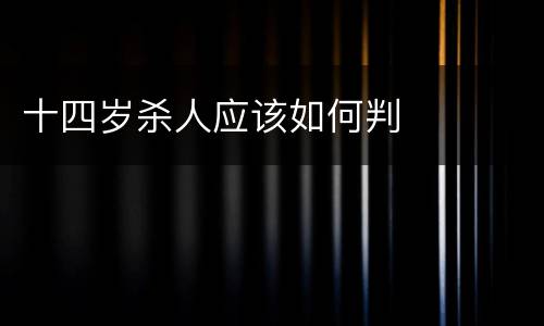 十四岁杀人应该如何判