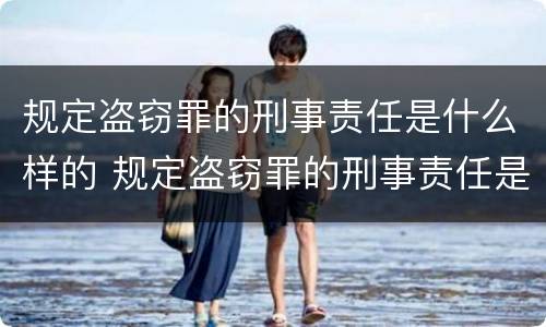 规定盗窃罪的刑事责任是什么样的 规定盗窃罪的刑事责任是什么样的案件