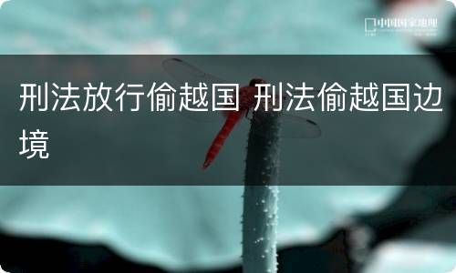 刑法放行偷越国 刑法偷越国边境