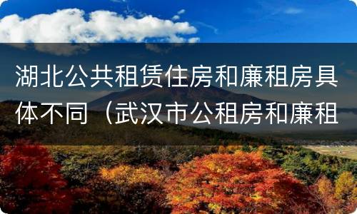湖北公共租赁住房和廉租房具体不同（武汉市公租房和廉租房区别）