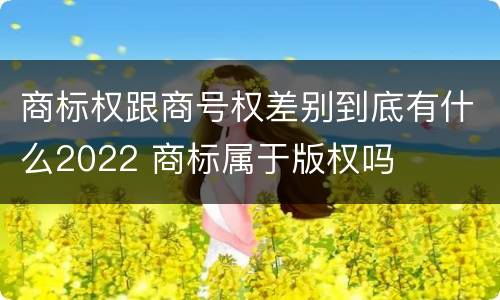 商标权跟商号权差别到底有什么2022 商标属于版权吗
