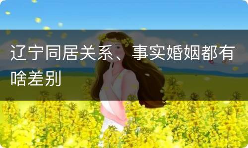 辽宁同居关系、事实婚姻都有啥差别