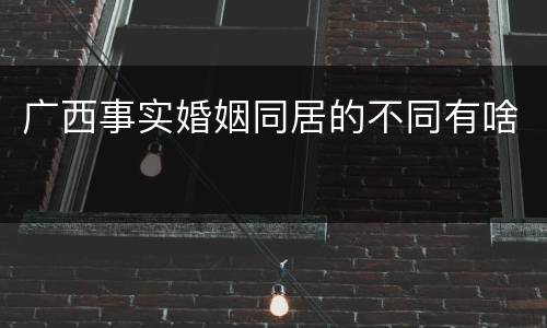 广西事实婚姻同居的不同有啥