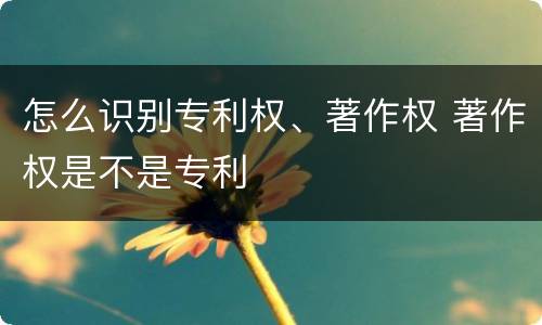 怎么识别专利权、著作权 著作权是不是专利