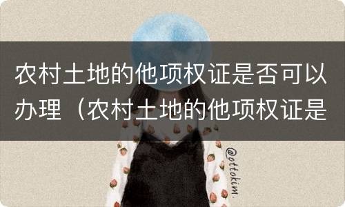 农村土地的他项权证是否可以办理（农村土地的他项权证是否可以办理贷款）