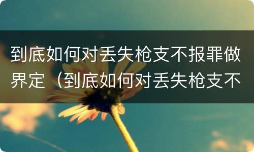 到底如何对丢失枪支不报罪做界定（到底如何对丢失枪支不报罪做界定呢）