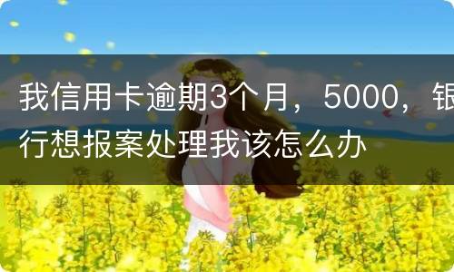 我信用卡逾期3个月，5000，银行想报案处理我该怎么办