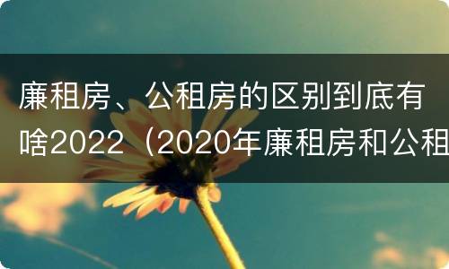 廉租房、公租房的区别到底有啥2022（2020年廉租房和公租房的区别）
