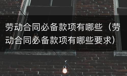 劳动合同必备款项有哪些（劳动合同必备款项有哪些要求）