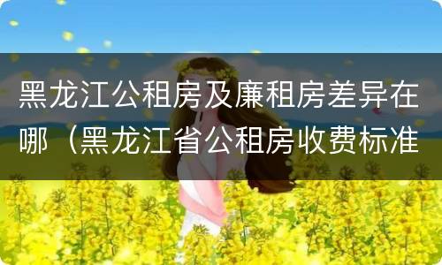 黑龙江公租房及廉租房差异在哪（黑龙江省公租房收费标准）