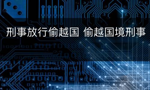 刑事放行偷越国 偷越国境刑事