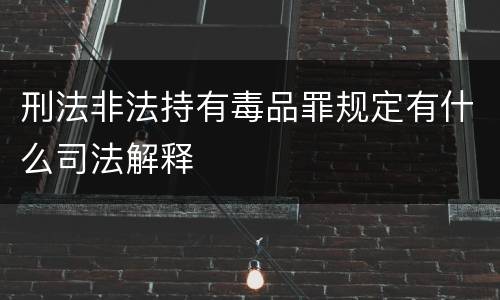 刑法非法持有毒品罪规定有什么司法解释