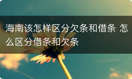 海南该怎样区分欠条和借条 怎么区分借条和欠条