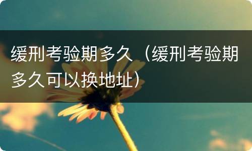 缓刑考验期多久（缓刑考验期多久可以换地址）