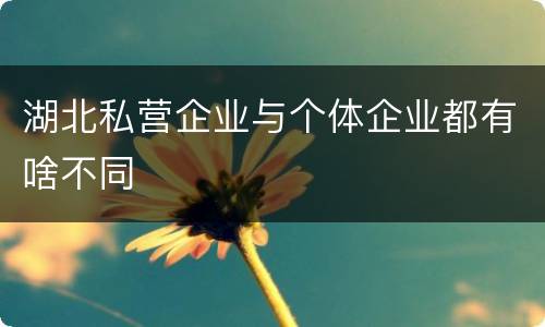 湖北私营企业与个体企业都有啥不同