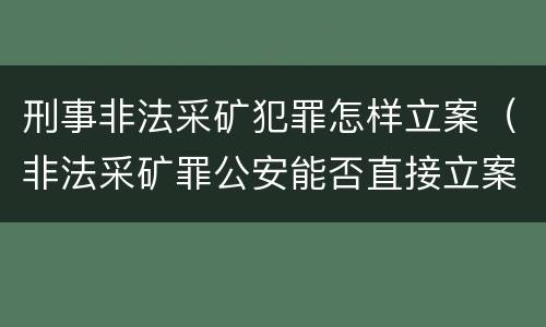 刑事非法采矿犯罪怎样立案（非法采矿罪公安能否直接立案）