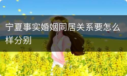 宁夏事实婚姻同居关系要怎么样分别