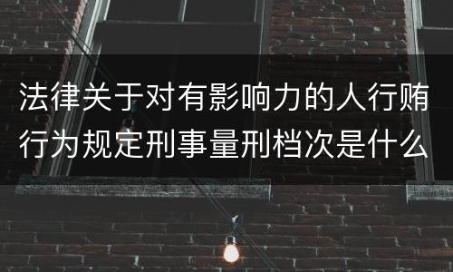 法律关于对有影响力的人行贿行为规定刑事量刑档次是什么