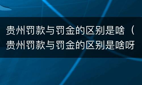 贵州罚款与罚金的区别是啥（贵州罚款与罚金的区别是啥呀）