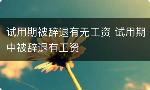 试用期被辞退有无工资 试用期中被辞退有工资