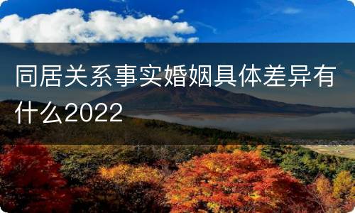 同居关系事实婚姻具体差异有什么2022