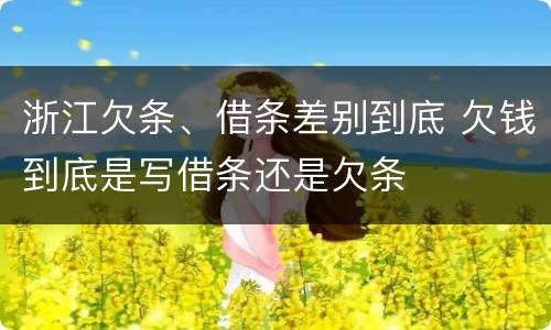 浙江欠条、借条差别到底 欠钱到底是写借条还是欠条