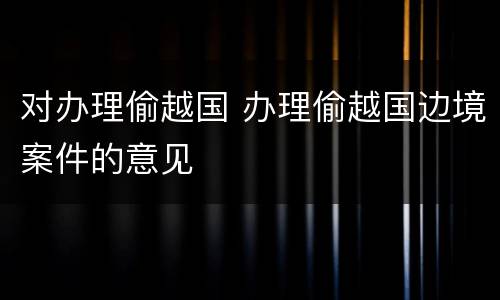 对办理偷越国 办理偷越国边境案件的意见