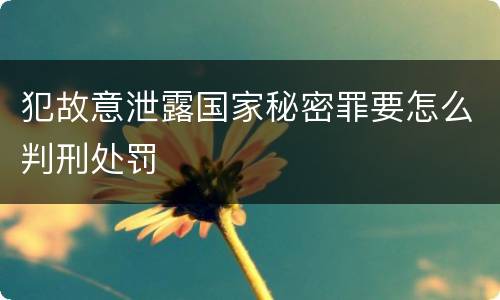 犯故意泄露国家秘密罪要怎么判刑处罚