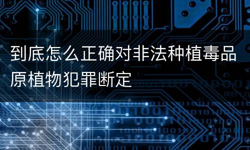 到底怎么正确对非法种植毒品原植物犯罪断定
