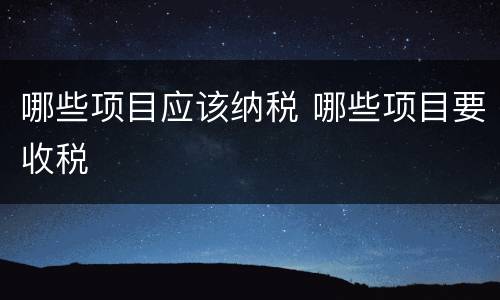 哪些项目应该纳税 哪些项目要收税