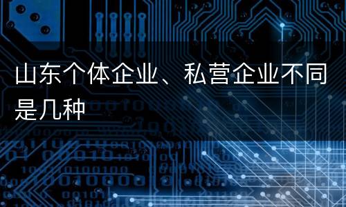 山东个体企业、私营企业不同是几种