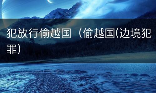 犯放行偷越国（偷越国(边境犯罪）