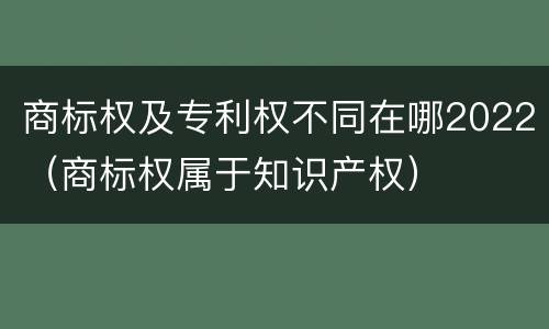 商标权及专利权不同在哪2022（商标权属于知识产权）