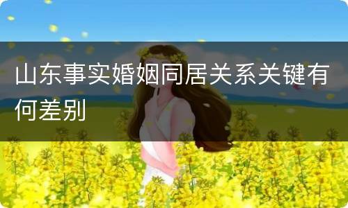 山东事实婚姻同居关系关键有何差别
