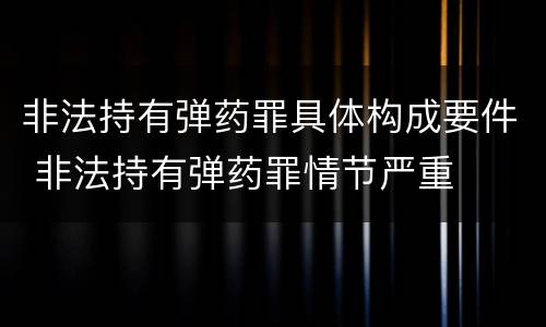 非法持有弹药罪具体构成要件 非法持有弹药罪情节严重