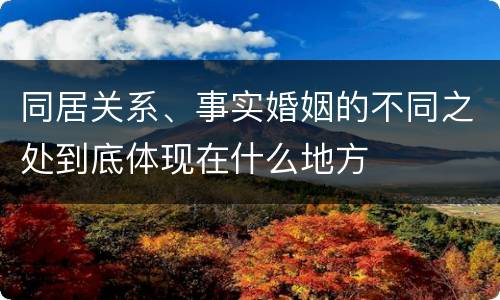 同居关系、事实婚姻的不同之处到底体现在什么地方