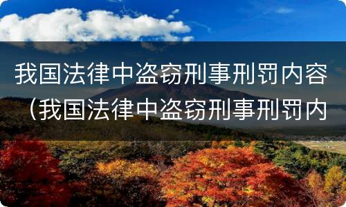 我国法律中盗窃刑事刑罚内容（我国法律中盗窃刑事刑罚内容有哪些）