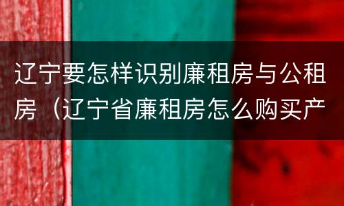辽宁要怎样识别廉租房与公租房（辽宁省廉租房怎么购买产权）