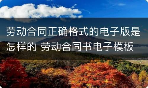 劳动合同正确格式的电子版是怎样的 劳动合同书电子模板