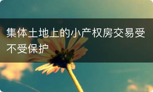 集体土地上的小产权房交易受不受保护