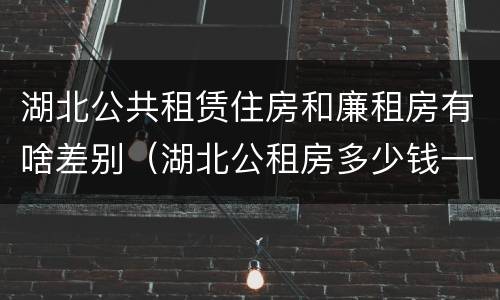 湖北公共租赁住房和廉租房有啥差别（湖北公租房多少钱一个月）