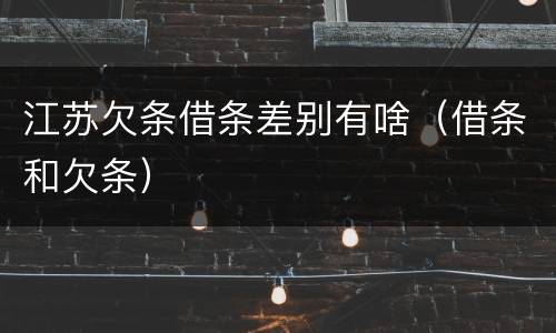 江苏欠条借条差别有啥（借条和欠条）