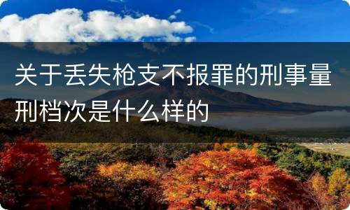关于丢失枪支不报罪的刑事量刑档次是什么样的