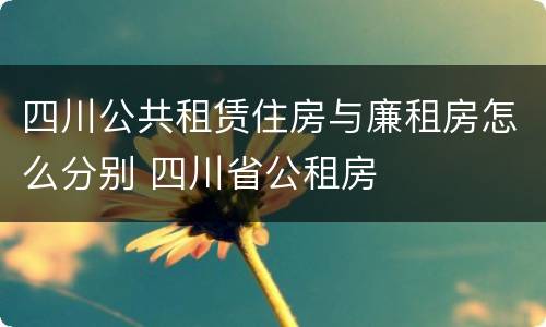 四川公共租赁住房与廉租房怎么分别 四川省公租房