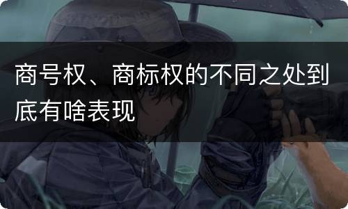 商号权、商标权的不同之处到底有啥表现