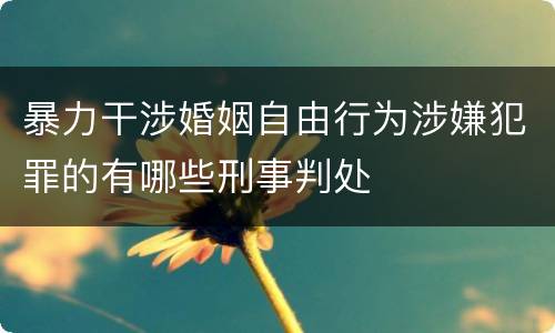 暴力干涉婚姻自由行为涉嫌犯罪的有哪些刑事判处