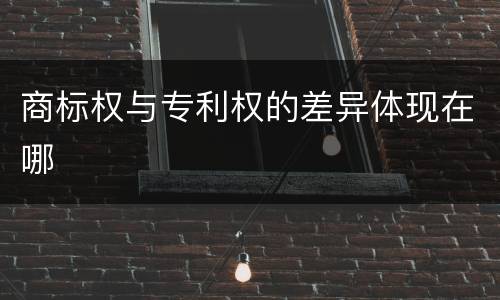 商标权与专利权的差异体现在哪