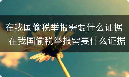 在我国偷税举报需要什么证据 在我国偷税举报需要什么证据材料